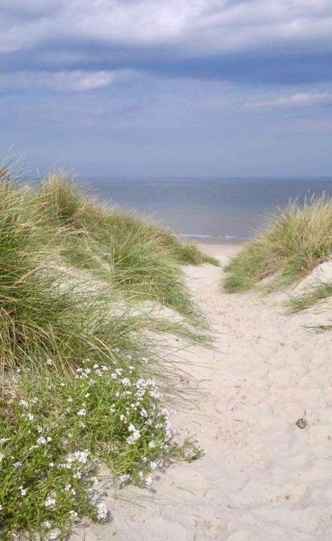 Beach Scenes, Pretty Places, Ocean Beach, Land Scape, Beach Life, Beautiful World, Beautiful Beaches, The Netherlands, Beautiful Nature