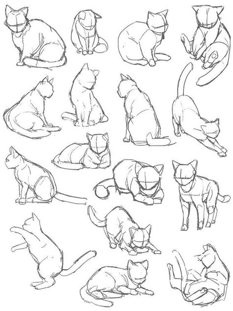 Cute Cat Sitting Drawing, Woman And Cat Drawing, Long Hair Cat Drawing, Siberian Cat Drawing, Cat Drawing Template, Animal Reference Drawing, Cat Drawings Sketches, Gato Drawing, How To Draw Cat