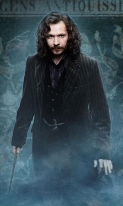 Sirius Black/Harry Potter Photo Harry Potter, Book Tag, Buku Harry Potter, Theme Harry Potter, Suzanne Collins, Gary Oldman, Albus Dumbledore, Remus Lupin, Harry Potter Cast