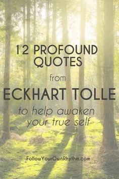 Ekhart Tolle, Eckart Tolle, The Power Of Now, Eckhart Tolle Quotes, Now Quotes, Profound Quotes, Power Of Now, Healthy Advice, Spiritual Teachers