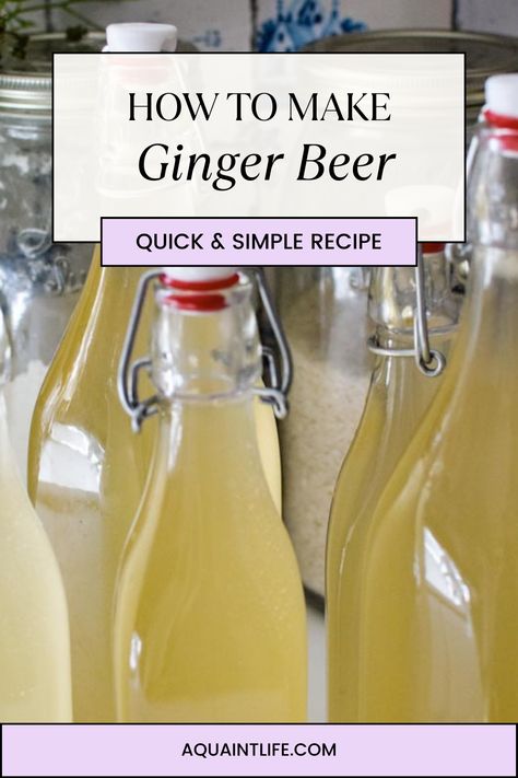 Homemade Ginger Beer Non Alcoholic, How To Make Ginger Beer At Home, Diy Ginger Beer, How To Make Ginger Beer, Homemade Ginger Beer Recipe, Non Alcoholic Ginger Beer Drinks, Mead Brewing, Making Ginger Beer, Ginger Beer Drinks