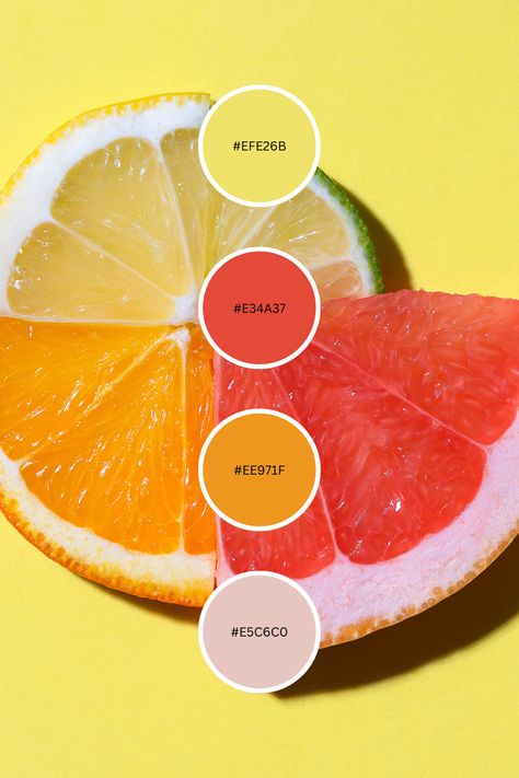 Fruity Colour Palette, Yellow Summer Color Palette, Passion Fruit Color Palette, Color Palette Fruit, Fruit Colour Palette, Color Palette For Food Brand, Grape Color Palette, Fruit Color Palette, Citrus Color Palette