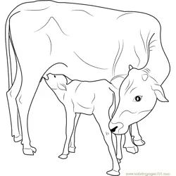 Indian Cow, Cow And Calf, Snake Coloring Pages, Cow Coloring Pages, Owl Coloring Pages, Cow Face, Snake Art, Cow Calf, Cow Painting