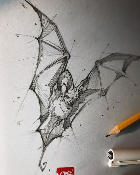 Cool bat tattoo sketch Tier Tattoo, Female Tattoos, Bat Art, Bat Tattoo, Pencil Sketch Drawing, Men Tattoos, Animal Drawings Sketches, Flash Art, Animal Sketches