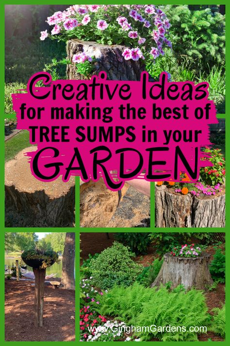 Things To Do With Tree Stumps Diy Projects, Hollow Stump Ideas, Decorate Tree Stump Ideas, Hiding A Tree Stump, Hiding Tree Stump Ideas, What To Do With Logs Tree Stumps, Planting Around A Tree Stump, Old Tree Stump Ideas Landscaping, Ideas For Tree Stumps In Garden