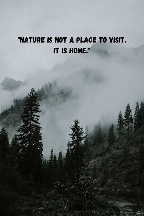 A serene landscape featuring mist-covered mountains and lush pine trees with an inspirational quote, “Nature is not a place to visit. It is home.” Embrace Quotes, Home In Nature, Wilderness Quotes, Nature Escape, Misty Mountains, Camping Quotes, Place To Visit, Nature Quotes, Get Outside