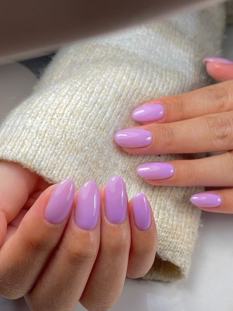 Russian manicure purple color 💜 Nails 3 Colors Simple, Round Lavender Nails, Oval Nails Lilac, Lilac Manicure Lavender, Magenta Oval Nails, Russian Manicure Color, Light Pinkish Purple Nails, Purple Nail Shades, Opaque Purple Nails