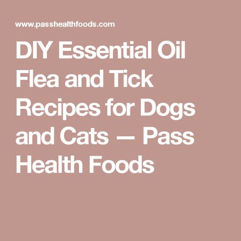 DIY Essential Oil Flea and Tick Recipes for Dogs and Cats — Pass Health Foods Essential Oil Dog Spray, Essential Oils For Fleas, Coconut Oil For Fleas, Recipes For Dogs, Kitty Care, Essential Oils Dogs, Natural Pet Care, Coconut Oil For Teeth, Coconut Oil For Dogs