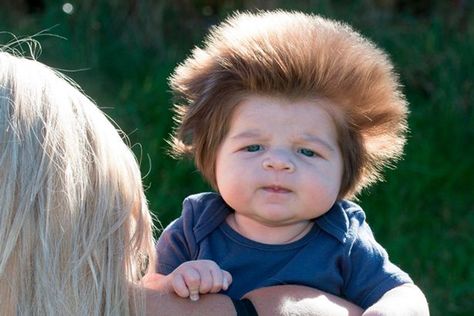 Meet 2-Month-Old Baby With The Craziest Bouffant Hair Ever 2 Month Old Baby, Baby Faces, Baby Memes, Kids Hair Cuts, Foto Baby, Labrador Puppy, Kids Discover, Boys Haircuts