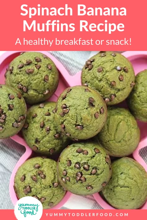 Spinach Banana Muffins, Kid Breakfast, Green Muffins, Toddler Muffins, Orange Brownies, Pesto Vegan, Spinach Muffins, Veggie Muffins, Toddler Snack