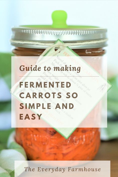 Fermented Carrots, Lacto Fermented Pickles, Fermented Vegetables Recipes, Metabolic Health, Fermented Veggies, Fermented Pickles, Fermentation Recipes, Rainbow Carrots, Fermented Vegetables