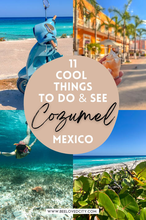 Things To Do In Cozumel Cruise Port, Things To Do In Playa Del Carmen, Cozumel Mexico Things To Do In, What To Do In Cozumel, Cozumel Mexico Cruise, Things To Do In Cozumel, Cozumel Excursions, Cozumel Cruise, Cozumel Island