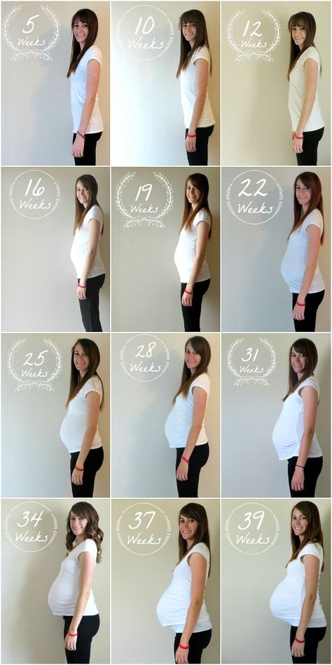 8 creative ways to document your pregnancy through photos. These are such great ideas! I wish I could do all of them! Baby Bump Chalkboard, Creative Pregnancy Photos, Bump Progression, Documenting Pregnancy, Baby Bump Progression, Baby Bump Pictures, Bump Pictures, Chirstmas Decor, Pregnancy Progression