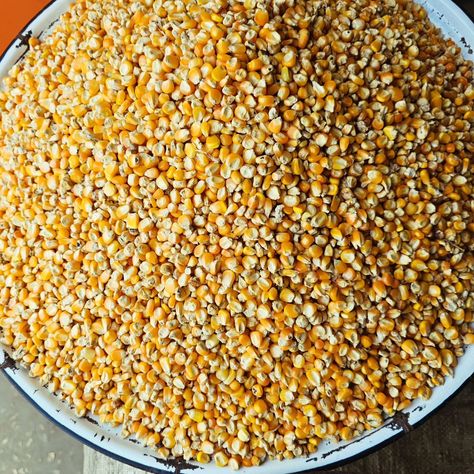 Well Dried maize available in volumetric size for export Maize, May 1, On Instagram, Quick Saves, Instagram