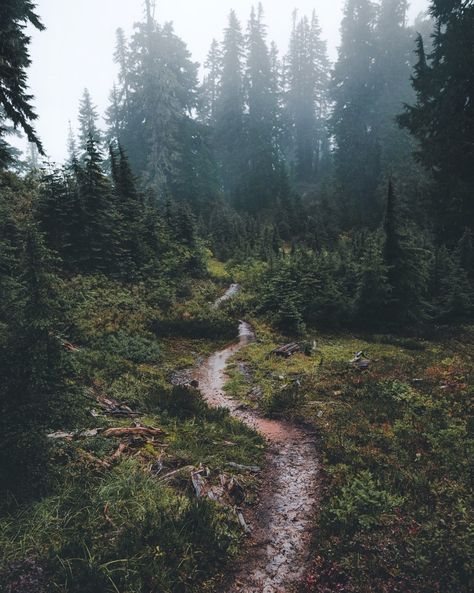 @Zackarad — I’ve been down that path before, and I’ll probably... Hidden Forest, Vertical Landscape, Camping Photography, Beautiful Roads, Mountain Photography, Scenic Byway, The Mountains Are Calling, Nature Aesthetic, Budapest