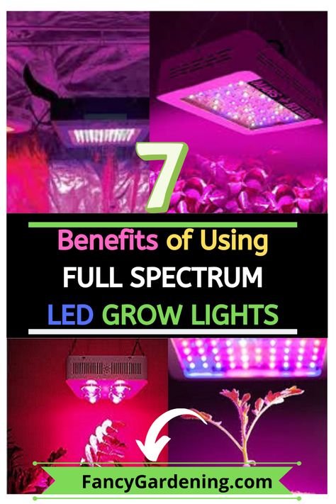 Full Spectrum Led Grow Lights, Full Spectrum Led Grow Light, Indoor Plant Lights, Led Plant Lights, Grow Garden, Indoor Grow Lights, Cold Frames, Best Grow Lights, Best Led Grow Lights