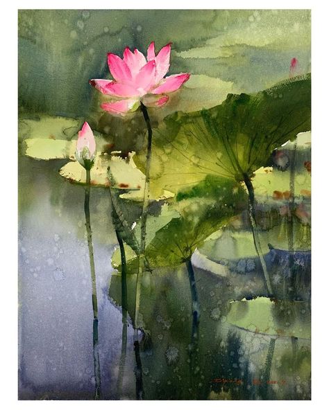 Waterlily Watercolor, Pond Watercolor, Water Lily Painting, Cloud Canvas Painting, Water Lilies Art, Water Lilies Painting, Learn Watercolor Painting, Canvas Art Decor, Art Nouveau Flowers