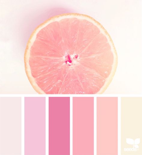 Palette Design, Color Schemes Colour Palettes, Color Palette Pink, Pastel Colour Palette, Color Palate, Design Seeds, Color Palette Design, Barbie Dream, Color Psychology