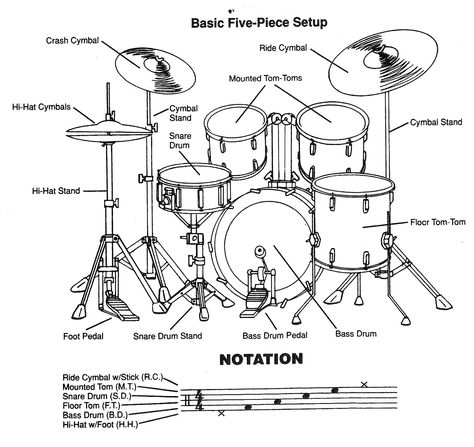 basic five piece drum set, back view Basic Drum Patterns, Drums Lessons, Learning Drums, Learning To Play Drums, Drums Set, Drum Set Up, Drum Design, Drum Sets, Drum Basics