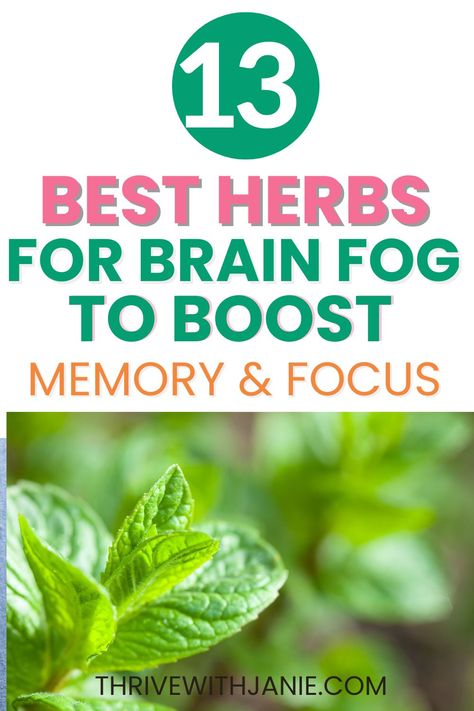 Herbs for brain fog Brain Fog Remedies, Clear Brain Fog, Foggy Brain, Brain Boosting Foods, Brain Memory, Brain Boost, Natural Acne, Boost Memory, Natural Healing Remedies