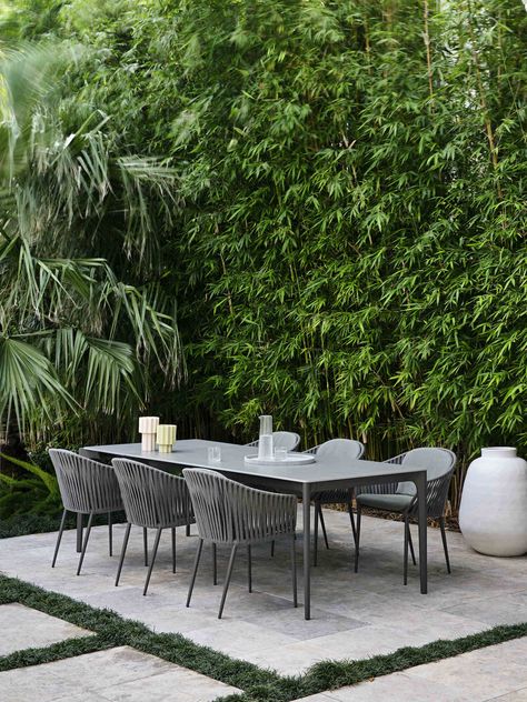 Ben Scott | Doherty Design Studio | Malvern Residence | est living_5 Outdoor Dining Table Ideas, Front Yard Rock Garden, Landscape Design Front Yard, Residence Landscape, Bamboo Landscape, California Backyard, Landscape Yard, Modern Outdoor Dining, Privacy Plants