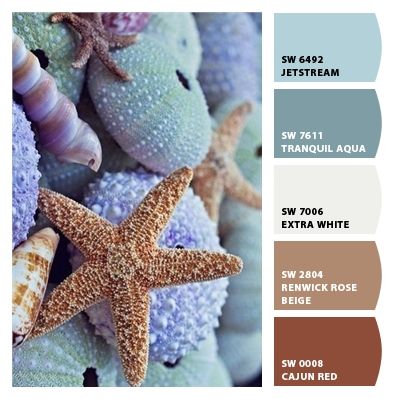 Paint colors that reflect the miracle of the sea, starfish, sea urchins, shells, etc. Color Guru, Ocean Color Palette, Beach Things, Sea Colour, Beach Color, Ocean Colors, Color Palate, Color Harmony, Color Balance