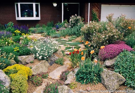 Xeriscape Landscaping Colorado, Landscaping Colorado, Xeriscape Garden, Colorado Landscaping, Xeriscape Plants, Xeriscape Front Yard, Xeriscape Landscaping, Drought Tolerant Garden, Drought Tolerant Landscape