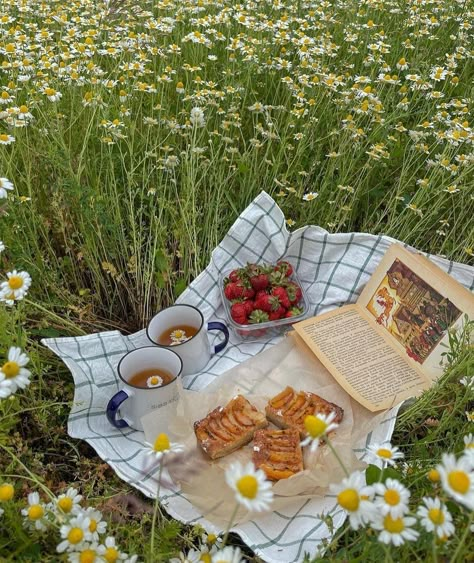 Summer Photo Shoot Ideas, Picnic Dinner Party, Picnic Aesthetics, Summer Photo Shoot, Picnic Dinner, Picnic Summer, Meditation Scripts, Summer Aesthetics, Picnic Inspiration