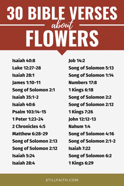 Bible Verses About Flowers, Flowers In The Bible, Biblical Flowers, Verses About Flowers, Bible Flowers, Bible Charts, Prayer Bible, Scripture Writing Plans, Bible Topics