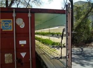 Urban Sustainability, Urban Farms, Crop Farming, Used Shipping Containers, Container Buildings, Vertical Farming, Grow Room, Urban Agriculture, Aquaponics System