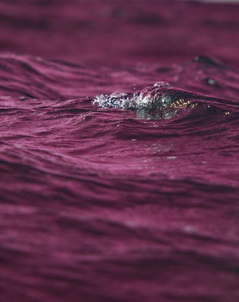 Tyrian purple is a kind of True Winter burgundy. It's a cool, reddened violet. Very regal. Burgundy Texture, Burgundy Aesthetic, Pantone Red, Yennefer Of Vengerberg, Pink Ocean, Pink Sea, True Winter, Colour Texture, Shades Of Burgundy