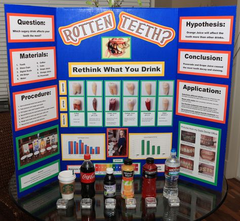 Science Fair Project - "Rotten Teeth?  Rethink What You Drink"  We used real human teeth, and got some real amazing results.  Check it out! Winning Science Fair Projects, Science Project Board, Kids Science Fair Projects, Easy Science Fair Projects, Science Fair Board, Science Fair Experiments, Science Fair Projects Boards, Rotten Teeth, Science Fair Project