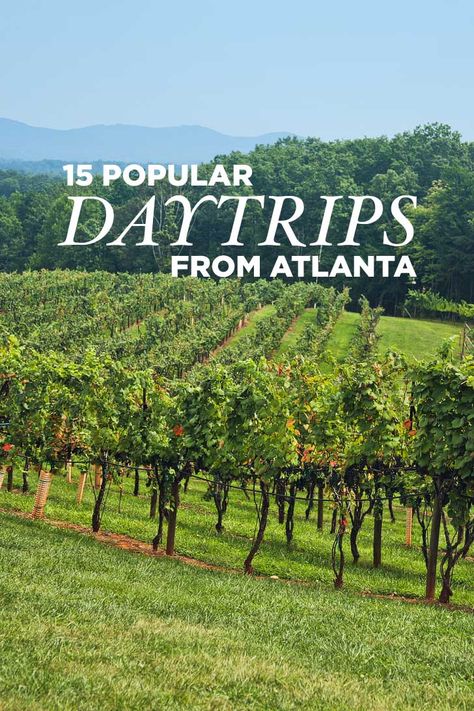 15 Best Day Trips from Atlanta Georgia // localadventurer.com Roadtrip Europa, Atlanta Travel, Georgia Vacation, Georgia Travel, Montezuma, Au Pair, Travel Photography Tips, Monteverde, Usa Travel Destinations