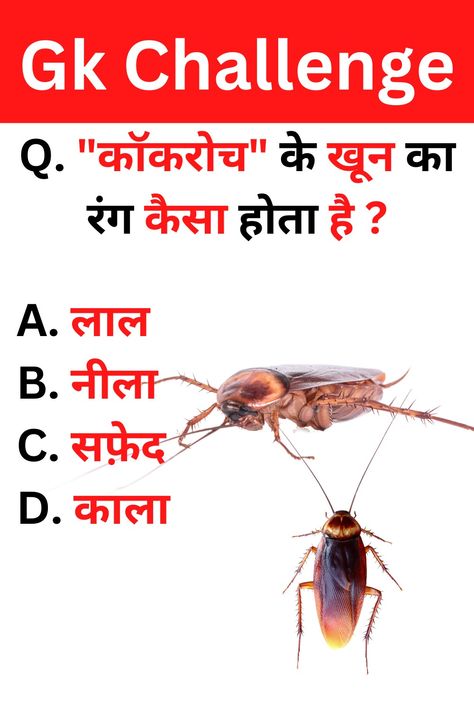 Top 20 Gk Questions And Answers || Gk Question || Gk Quiz || Gk in Hindi General Knowledge PT-7 👉 top 20 gk questions with answers 👉 gk questions with answers 👉 gk questions in hindi 👉 gk questions and answers in hindi 👉 gk questions 👉 gk quiz questions 👉 gk quiz 👉 general knowledge 👉 general knowledge quiz with answers 🔎 HASHTAGS 🔎 #gkstudytour #gkquestionsandanswers #gkquestions #gkquestion #top20gkquestionandanswer #gk #gkquiz #gkinhindi #indiagkinhindi Gk Questions And Answers In Hindi, Gk Questions For Class 1, Gk Quiz Questions Hindi, Gk Questions And Answers In English, Gk Knowledge In Hindi, General Knowledge Quiz With Answers, Gk Question In Hindi, Gk Quiz Questions, India Gk