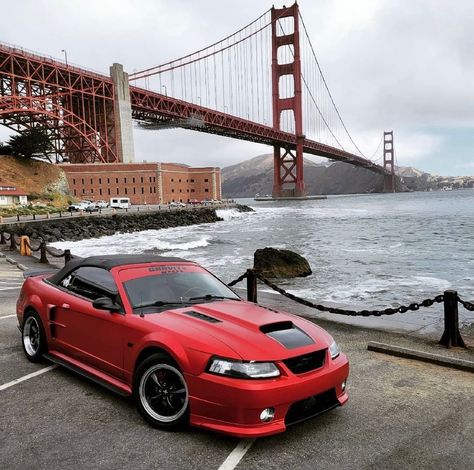 Ford Fox, Sn95 Mustang, Race Night, Auto Ford, Roush Mustang, 2000 Ford Mustang, Sick Cars, 2004 Ford Mustang, Getaway Car