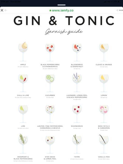 Gin And Tonic Garnish Ideas, Gin Tasting Party Ideas, Gin And Tonic Recipe Cocktails, Gin And Tonic Bar, Gin Festival, Tonic Drink, Cocktail Mixology, Tonic Recipe, Gin Tasting