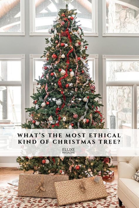 What’s the most ethical kind of Christmas tree? Reusable plastic? Evergreen? Something else? We investigate Real Christmas Trees, Decorating The Christmas Tree, Best Christmas Tree, Ethical Living, Christmas Tree Decor Ideas, Tree Decor Ideas, Eco Friendly Christmas, Fake Trees, Real Christmas