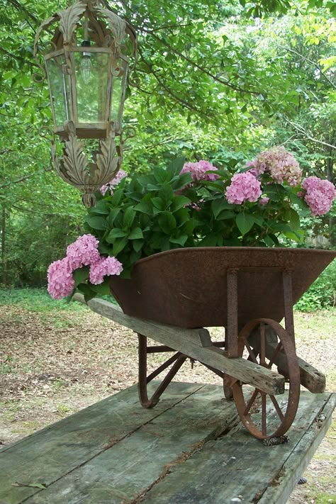 Turning a wheel barrow into a unique piece to plant some flowers.  I did something similar --- planted wild strawberries in an antique claw foot bathtub. Wheelbarrow Planter, Have Inspiration, The Secret Garden, Garden Containers, Deco Floral, Garden Cottage, Country Gardening, Dream Garden, Garden And Yard