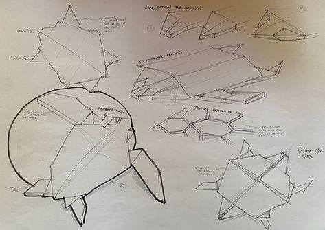 Turtle Design Concept Architecture, Turtle Biomimicry, Turtle Concept Architecture, Turtle Architecture, Sea Turtle Shell, Land Turtles, Concept Draw, Architecture Concept, Main Door Design