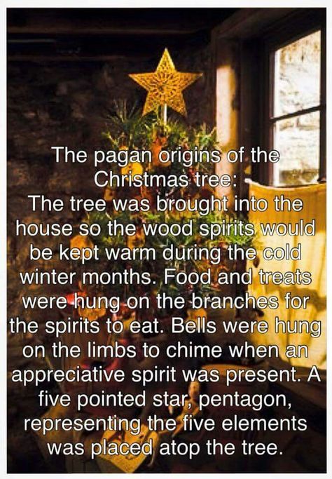 Origin of the Christmas Tree Yule Traditions, Pagan Christmas, Yule Celebration, Wood Spirit, Modern Witch, Kitchen Witch, Green Witch, Noel Christmas, Winter Solstice