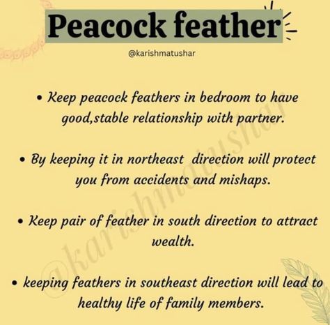 Peacock Feather Meaning, Feather Meaning, Spirit Animal Meaning, Animal Meanings, Attract Wealth, Tarot Readers, Peacock Feathers, Witchy Woman, Peacock Feather