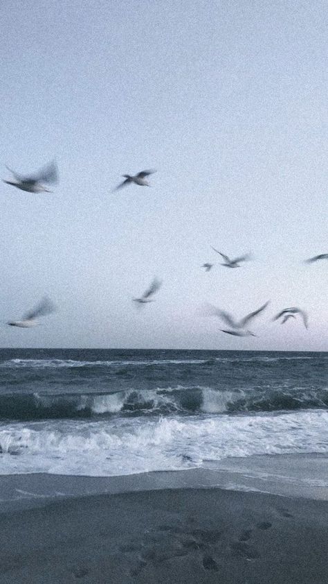 1989 Taylor's Version, Seagulls Flying, Ocean Wallpaper, Iphone Wallpaper Photos, Alam Yang Indah, Homescreen Wallpaper, Landscape Wallpaper, Nature Aesthetic, Sky Aesthetic