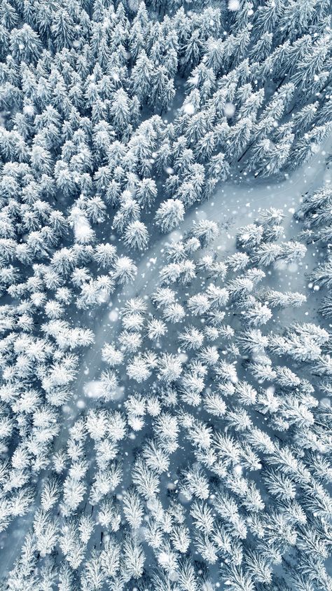 Winter Snow Wallpaper, Wallpaper Forest, Winter Wallpapers, Snow Forest, Snowy Forest, Travel Wallpaper, Wallpaper Iphone Christmas, Forest Wallpaper, Winter Wallpaper