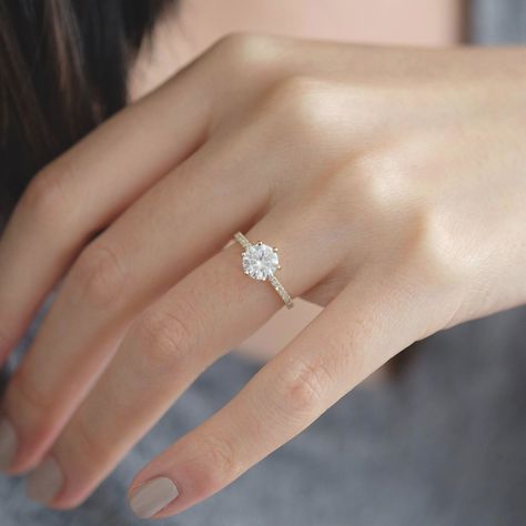 Engagement Rings Round Gold, Rings Moissanite, Pave Solitaire Engagement Ring, Round Solitaire Engagement Ring, Cute Engagement Rings, Future Engagement Rings, Round Solitaire, Round Engagement Rings, Wedding Rings Solitaire