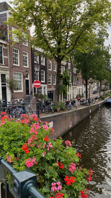 #travel #amsterdam Holland Aesthetic, Netherlands Aesthetic, Travel Amsterdam, Amsterdam Vacation, Netherlands Travel, Amsterdam Travel, Pretty Landscapes, Amsterdam Netherlands, Travel Locations