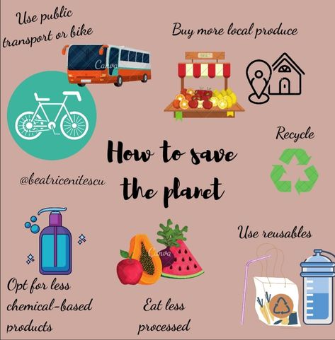 Check out the link for more details and ways to save the Earth. Ways To Save The Earth, Pollution Environment, Environment Quotes, Save Planet Earth, Earth Quotes, Environmentally Friendly Living, Save Mother Earth, Save Environment, Save Our Earth