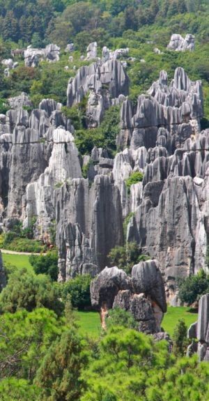 Stone Forest, 7 Continents, Landscape Photography Nature, Photography Nature, Globe Trotter, Travel Bucket List, Travel Around The World, Travel Around, Natural World