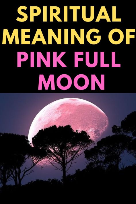 On April 19, 2019, 11:12 UTC hour, there will be a full pink moon. The term is used to refer to April’s full moon, but the moon is not actually rose-colored. Learn the spiritual meaning of pink full moon.  #pinkfullmoon, #fullmoon, #pinkfullmoonmeanong, #spiirtualmeaningofpinkfullmoon April Full Moon Ritual, Pink Moon Meaning, Flower Moon Meaning, Pink Moon Ritual 2024, Pink Full Moon 2024, Pink Moon Ritual, Pink Full Moon Meaning, April Full Moon, Full Moon Meaning