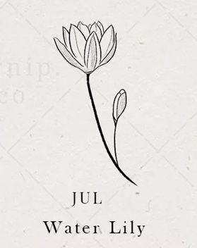 Fine Line July Flower Tattoo, Water Lily Tattoo Behind Ear, Water Lily Finger Tattoo, Waterlily Tattoos, Willow Tattoo, April Bujo, Water Lily Tattoo, 2023 Bujo, Infinite Jest