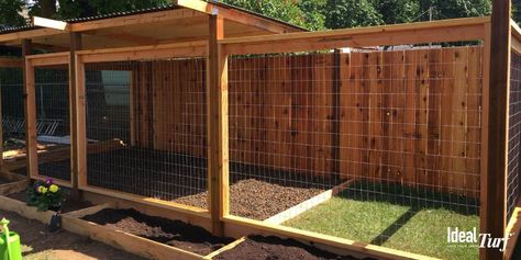 Dog Run Ideas: Definitive Guide To Backyard Dog Potty Areas Dog Run Ideas, Pet Friendly Backyard, Dog Kennel And Run, Diy Dog Run, Outdoor Dog Area, Outdoor Dog Runs, Backyard Dog Area, Dog Enclosures, Dog Potty Area